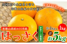 八朔 はっさく【訳あり/ご家庭用】はっさく 八朔 4kg＋1kg 計約5kg サンファーム《2026年1月上旬-3月末頃より出荷予定》和歌山県 紀の川市 ご家庭用 はっさく5kg 八朔5kg