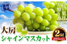 シャインマスカット【先行予約】和歌山県産 大房 シャインマスカット 2房 入り(1房 650g × 2房 )《2025年9月上旬-10月中旬頃より出荷予定》【配送不可地域あり】 紀の川市 厳選館 和歌山県 紀の川市 フルーツ 果物 葡萄 ぶどう マスカット