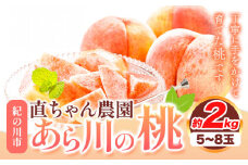 あら川の桃 約2kg(5～8玉) 直ちゃん農園【先行予約】《7月中旬-8月末頃出荷》 和歌山県 紀の川市 果物 フルーツ 桃 もも モモ なつっこ 川中島白桃 晩白桃 旬 送料無料