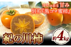 【先行予約】紀の川柿 約4kg　岸武青果株式会社《2025年10月中旬-12月上旬頃出荷》 和歌山県 紀の川市 柿 カキ かき 黒ゴマ蜜柿 果物 フルーツ 送料無料