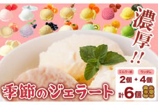 フルーツ ジェラート ～旬の味をぎゅっとセットで～ 季節のジェラート 6種セット （ミルク・桃+ランダム4種）《30日以内に出荷予定(土日祝除く)》和歌山県 紀の川市 JAわかやま 紀の里地域本部 ジェラート アイス デザート カップアイス 桃 みかん 黒豆きなこ 蜂蜜ヨーグルト 蜂蜜マスカルポーネ 洋梨 落花生 いちご チョコレート キウイ