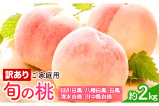 【2025年先行予約】訳あり 和歌山の桃 約2kg (約6-9玉入) 岸武青果株式会社《2025年6月下旬-8月末頃出荷》 和歌山県 紀の川市 桃 ご家庭用 もも モモ 果物 フルーツ