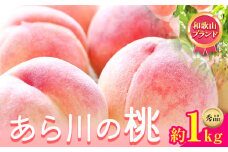 【先行予約】和歌山県紀の川市産あら川の桃 約1kg 秀品 前商店《6月-8月上旬頃出荷》 和歌山県 紀の川市 送料無料