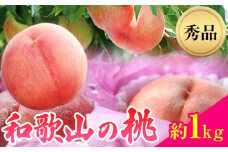 和歌山県産桃（もも）約1kg 秀品 前商店《6月中旬-8月上旬頃出荷》産地直送 もも モモ 果物 フルーツ