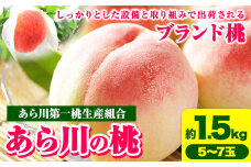 【2025年先行予約】あら川の桃 約1.5kg (5-7玉) あら川第一桃生産組合《6月下旬から8月下旬頃出荷》 和歌山県 紀の川市 あら川の桃 モモ 桃 もも