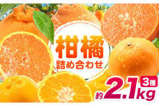 柑橘王国和歌山の柑橘食べ比べ 約2.1kg(約700g×3袋)計3種入り【2026年先行予約】《2026年2月上旬-3月末頃出荷》和歌山県 紀の川市 ミカン 柑橘類 せとか 不知火 はるみ お取り寄せ フルーツ 果物
