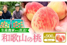 桃 和歌山県産の桃 約1.8kg (5～8玉入り) GREEN JUNCTION株式会社《2025年6月中旬-2025年8月末頃出荷》和歌山県 紀の川市 桃 果物 果実 フルーツ 自然栽培 送料無料
