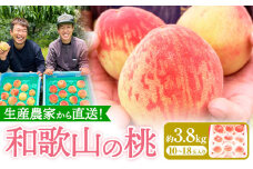桃 和歌山県産の桃 約3.8kg (10~18玉) GREEN JUNCTION株式会社《2025年6月中旬-2025年8月末頃出荷》和歌山県 紀の川市 桃 果物 果実 フルーツ 自然栽培 送料無料