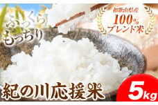 ★令和6年産★ 米 5kg お米 白米 5キロ 紀の川応援米《30日以内に出荷予定(土日祝除く)》和歌山県 紀の川市 送料無料 国産 こめ 米 白米 精米