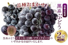 【先行予約】和歌山県産 黒系ぶどう 品種おまかせ 約450g×2房 紀の川市厳選館 《8月上旬-9月中旬頃出荷》 和歌山県 紀の川市 フルーツ ぶどう ピオーネ 巨峰 ブラックビート 和歌山県産 送料無料