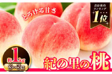 桃 もも ～とろける甘さ～和歌山県産 紀の里の桃 お試し! 約1kg (3-5玉入り)【先行予約】《2026年6月中旬-8月中旬頃出荷》白鳳 日川白鳳 八旗白鳳 清水白桃 川中島白桃 つきあかり