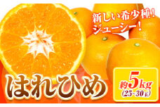 【先行予約】みかん はれひめ 約 5kg 25玉 ～ 30玉 紀農人株式会社【先行予約】《2025年12月中旬-2025年2月上旬頃出荷》 和歌山県 紀の川市 果物 フルーツ 柑橘 蜜柑 柑橘類 旬