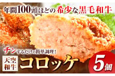 揚げずにチンするコロッケ 天空和牛コロッケ 5個《30日以内に出荷予定(土日祝除く)》有限会社松牛 和歌山県 紀の川市 熊野牛 紀の川天空和牛 惣菜 おかず 冷凍