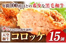 揚げずにチンするコロッケ 天空和牛コロッケ 15個《30日以内に出荷予定(土日祝除く)》有限会社松牛 和歌山県 紀の川市 熊野牛 紀の川天空和牛 惣菜 おかず 冷凍
