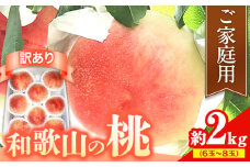 【訳あり】 ご家庭用 和歌山の桃 約2kg (6玉-8玉) m＆n果実園 【配送不可地域あり】《2025年6月中旬-7月下旬頃出荷》和歌山県 紀の川市 モモ 桃 もも 旬 白鳳 日川白鳳 なつっこ 果物 フルーツ