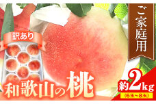【訳あり】 ご家庭用 和歌山の桃 約2kg (6玉-8玉) m＆n果実園 【配送不可地域あり】《2025年6月中旬-7月下旬頃出荷》和歌山県 紀の川市 モモ 桃 もも 旬 白鳳 日川白鳳 なつっこ 果物 フルーツ