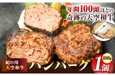 肉 黒毛和牛 ハンバーグ 天空和牛ハンバーグ 1個 (約100g) 《30日以内に出荷予定(土日祝除く)》有限会社松牛 和歌山県 紀の川市 熊野牛 紀の川天空和牛 惣菜 おかず
