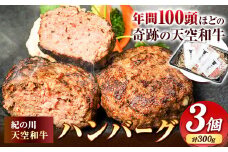 肉 黒毛和牛 ハンバーグ 天空和牛ハンバーグ 約300g (約100g×3個)《30日以内に出荷予定(土日祝除く)》有限会社松牛 和歌山県 紀の川市 熊野牛 紀の川天空和牛 惣菜 おかず