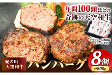 肉 黒毛和牛 ハンバーグ 天空和牛ハンバーグ 約800g (約100g×8個)《30日以内に出荷予定(土日祝除く)》有限会社松牛 和歌山県 紀の川市 熊野牛 紀の川天空和牛 惣菜 おかず