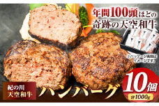 肉 黒毛和牛 ハンバーグ 天空和牛ハンバーグ 約1kg (約100g×10個) 《30日以内に出荷予定(土日祝除く)》有限会社松牛 和歌山県 紀の川市 熊野牛 紀の川天空和牛 惣菜 おかず