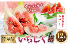 いちじく【先行予約】紀の川産 いちじく 特秀品 12玉 WAT農園《2025年8月中旬-11月中旬頃出荷》 和歌山県 紀の川市 イチジク 無花果 フルーツ 果物