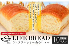 LIFEBREAD 10本 110g サクセム株式会社《30日以内に出荷予定(土日祝除く)》和歌山県 紀の川市 防災備蓄 賞味期限5年以上 ライフブレッド ブレッド st-p