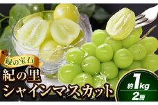 シャインマスカット 紀の里シャインマスカット 約1kg 2房 《2025年8月下旬-2025年10月中旬頃出荷》和歌山県 紀の川市 シャイン マスカット ぶどう ブドウ 葡萄 先行予約 旬 果物 フルーツ シャインマスカット 2025予約 シャインマスカット 