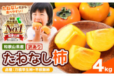 【ご家庭用/訳あり】たねなし柿4kg《2025年9月中旬-11月上旬頃より出荷予定》 和歌山県 紀の川市 柿 カキ かき ジューシー フルーツ