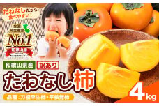 【ご家庭用/訳あり】たねなし柿4kg《2025年9月中旬-11月上旬頃より出荷予定》 和歌山県 紀の川市 柿 カキ かき ジューシー フルーツ