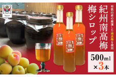 孫さんの紀州南高梅 梅シロップ 500ml×3本 イクス産業《30日以内に出荷予定(土日祝除く)》和歌山県 紀の川市 梅 シロップ