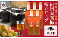 孫さんの紀州南高梅 梅シロップ 500ml×5本 イクス産業《30日以内に出荷予定(土日祝除く)》和歌山県 紀の川市 梅 シロップ