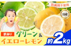 訳あり 国産レモン 約2kg 《10月上旬-1月下旬頃出荷》産地直送 レモン 檸檬 グリーンレモン イエローレモン 防腐剤不使用