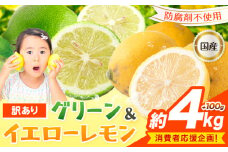 生産者応援企画！訳あり 国産レモン 約4kg＋100g 《10月上旬-1月下旬頃出荷》産地直送 レモン 檸檬 グリーンレモン イエローレモン 防腐剤不使用