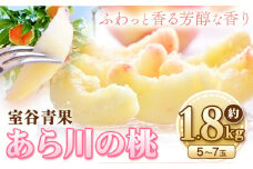 【予約受付】あら川の桃 約1.8kg 室谷青果 《2025年6月下旬-8月中旬頃出荷》 和歌山県 紀の川市