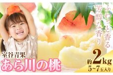 【予約受付】あら川の桃 約2kg 室谷青果《2026年6月下旬-7月中旬頃出荷》和歌山県 紀の川市