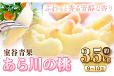 【予約受付】あら川の桃 約3.5kg 室谷青果 《2025年6月下旬-8月中旬頃出荷》 和歌山県 紀の川市