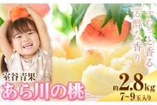 【予約受付】あら川の桃 約2.8kg 室谷青果 《2026年6月下旬-7月中旬頃出荷》 和歌山県 紀の川市