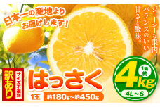 訳あり/ご家庭用 紀の川市産 はっさく 約4kg  (4L~Sサイズ サイズ不選別) 早生･晩生指定不可《2月上旬-3月中旬に出荷予定(土日祝除く)》和歌山県 紀の川市 産地直送 みかん 八朔 柑橘 果物 フルーツ ご家庭用 ビタミンC