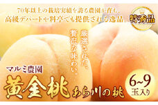 【先行予約】あら川の桃 黄金桃 特秀品 6-9個入 マルミ農園《2025年7月中旬-8月末頃出荷》 和歌山県 紀の川市 桃 もも