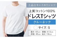 上質コットン100%のドレスTシャツクルーネック サイズ S カラー ホワイト ライフスタイルアクセント《30日以内に出荷予定(土日祝除く)》 和歌山県 紀の川市 コットン100% メンズ Tシャツ 半袖 フォーマル カジュアル 送料無料