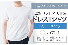上質コットン100%のドレスTシャツクルーネック サイズ S カラー ホワイト ライフスタイルアクセント《30日以内に出荷予定(土日祝除く)》 和歌山県 紀の川市 コットン100% メンズ Tシャツ 半袖 フォーマル カジュアル 送料無料