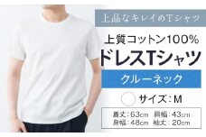 上質コットン100%のドレスTシャツクルーネック サイズ M カラー ホワイト ライフスタイルアクセント《30日以内に出荷予定(土日祝除く)》 和歌山県 紀の川市 コットン100% メンズ Tシャツ 半袖 フォーマル カジュアル 送料無料