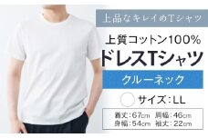 上質コットン100%のドレスTシャツクルーネック サイズ LL カラー ホワイト ライフスタイルアクセント《30日以内に出荷予定(土日祝除く)》 和歌山県 紀の川市 コットン100% メンズ Tシャツ 半袖 フォーマル カジュアル 送料無料