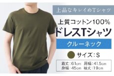 上質コットン100%のドレスTシャツクルーネック サイズ S カラー グリーン ライフスタイルアクセント《30日以内に出荷予定(土日祝除く)》 和歌山県 紀の川市 コットン100% メンズ Tシャツ 半袖 フォーマル カジュアル 送料無料