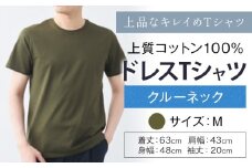 上質コットン100%のドレスTシャツクルーネック サイズ M カラー グリーン ライフスタイルアクセント《30日以内に出荷予定(土日祝除く)》 和歌山県 紀の川市 コットン100% メンズ Tシャツ 半袖 フォーマル カジュアル 送料無料