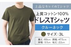 上質コットン100%のドレスTシャツクルーネック サイズ 3L カラー グリーン ライフスタイルアクセント《30日以内に出荷予定(土日祝除く)》 和歌山県 紀の川市 コットン100% メンズ Tシャツ 半袖 フォーマル カジュアル 送料無料