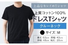 上質コットン100%のドレスTシャツクルーネック サイズ M カラー ブラック ライフスタイルアクセント《30日以内に出荷予定(土日祝除く)》 和歌山県 紀の川市 コットン100% メンズ Tシャツ 半袖 フォーマル カジュアル 送料無料