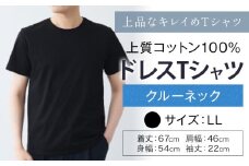 上質コットン100%のドレスTシャツクルーネック サイズ LL カラー ブラック ライフスタイルアクセント《30日以内に出荷予定(土日祝除く)》 和歌山県 紀の川市 コットン100% メンズ Tシャツ 半袖 フォーマル カジュアル 送料無料