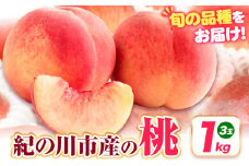 【先行予約】桃 紀の川市産 約1kg(3玉) 紀農人株式会社《2026年6月上旬-8月中旬頃出荷》 和歌山県 紀の川市 果物 フルーツ 桃 もも モモ 旬