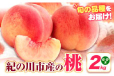 【先行予約】桃 紀の川市産 約2kg(6-9玉) 紀農人株式会社《2026年6月上旬-8月中旬頃出荷》 和歌山県 紀の川市 果物 フルーツ 桃 もも モモ 旬